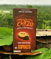 Chocolates bars manufacturing company 90% copoazu to food wholesalers